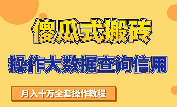 搬砖操作大数据查询信用项目赚钱教程，祝你快速月入6万-乌龙学社