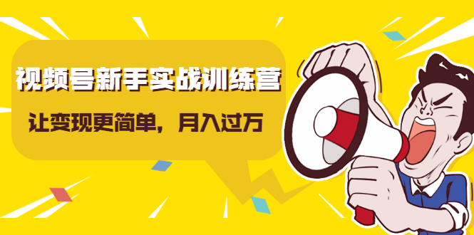 视频号新手实战训练营，让变现更简单，玩赚视频号，轻松月入过万-乌龙学社