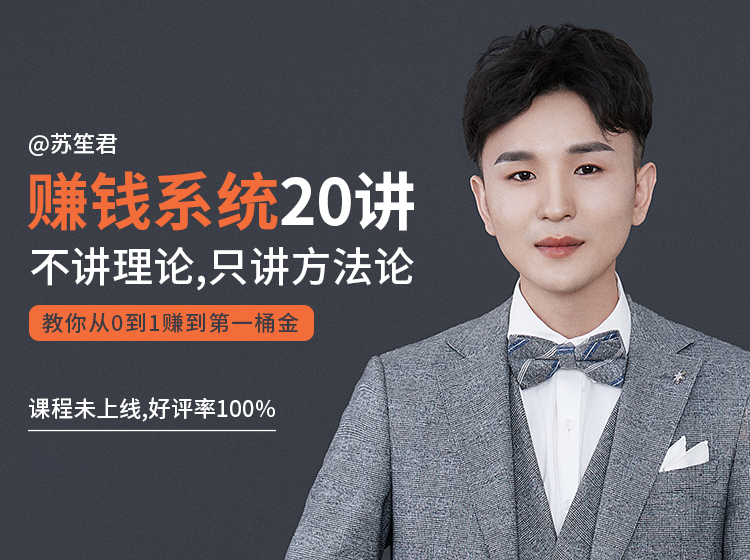 苏笙君的赚钱系统20课 教你从0到1赚到你的第一桶金（不讲理论，只讲方法论）-乌龙学社