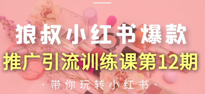 狼叔小红书爆款推广引流训练课第12期，手把手带你玩转小红书-乌龙学社