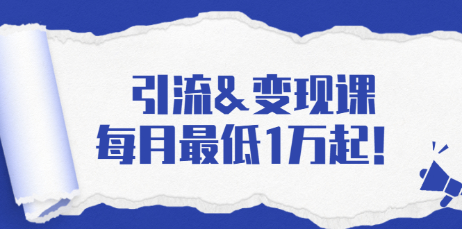 引流&变现课：分享一整套流量方法以及各个渠道收入，每月最低1万起！-乌龙学社
