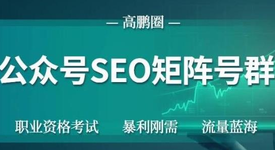 高鹏圈公众号SEO矩阵号群，实操20天纯收益25000+，普通人都能做-乌龙学社
