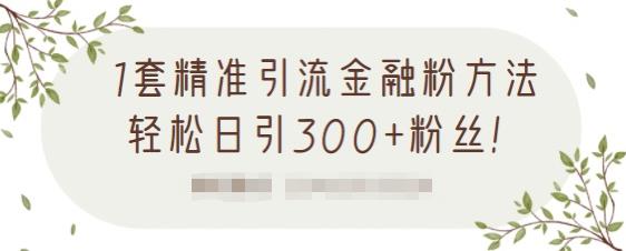 1套精准引流金融粉方法，轻松日引300+粉丝-乌龙学社