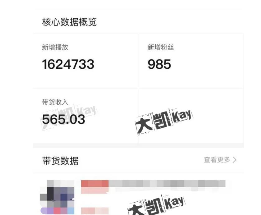 大凯进阶圈新玩法之拼多多视频玩法，利润大概一个号一天能有500~1500的左右!-乌龙学社