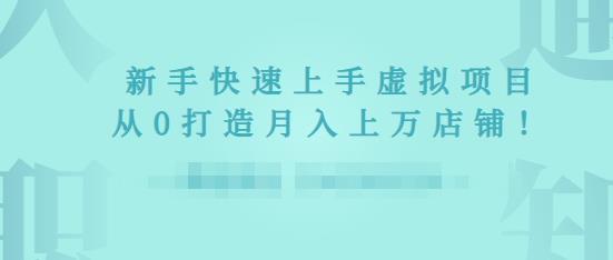 2022年虚拟项目实战指南，新手从0打造月入上万店铺-乌龙学社