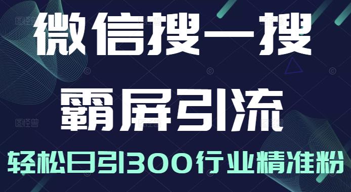 微信搜一搜霸屏引流课，打造被动精准引流系统，轻松日引300行业精准粉-乌龙学社