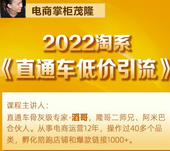 茂隆2022直通车低价引流玩法，教大家如何低投入高回报的直通车玩法-乌龙学社