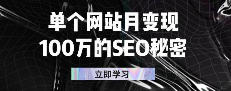 单个网站月变现100万的SEO秘密，百分百做出赚钱站点-乌龙学社
