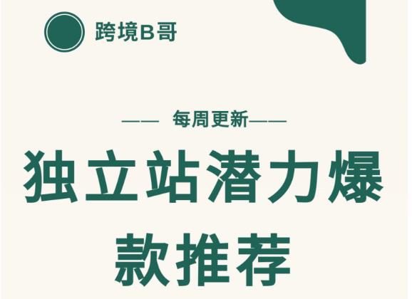 【跨境B哥】独立站潜力爆款选品推荐，测款出单率高达百分之80-乌龙学社