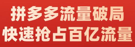 阿杰·拼多多流量破局:如何打黑标，爆款的思路，拼多多流量框架，快速抢占百亿流量-乌龙学社
