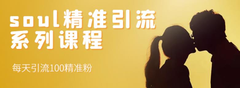 soul精准引流系列课程，每天引流100精准粉-乌龙学社