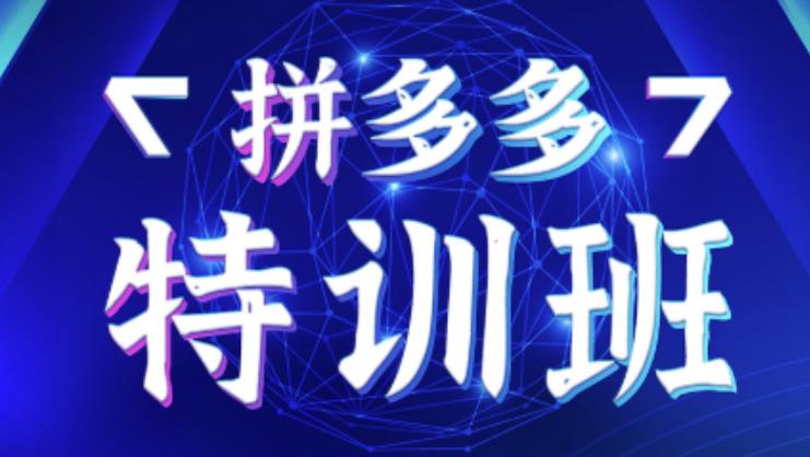星雪教育·拼多多基础班+进阶班+突破班，用系统的学习模式快速改变现状价值3580元-乌龙学社