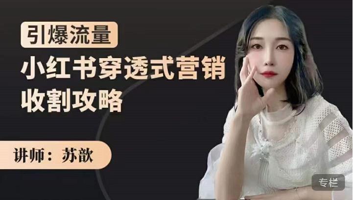 苏歆：小红书穿透式营销收割攻略，引爆流量，助你玩转小红书-乌龙学社