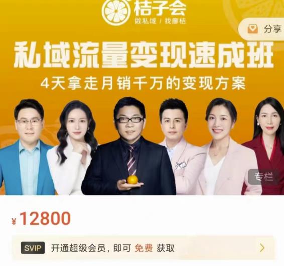 桔子会·私域流量变现速成班，4天拿走月销千万的变现方案 价值12800元-乌龙学社