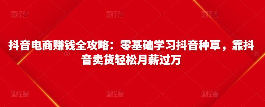 抖音电商赚钱全攻略：零基础学习抖音种草，靠抖音卖货轻松月薪过万-乌龙学社