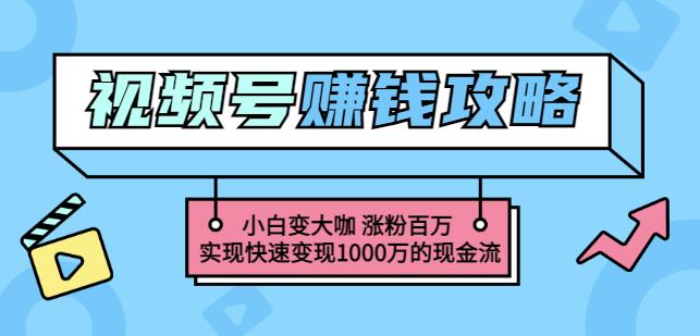 玩转微信视频号赚钱：小白变大咖涨粉百万实现快速变现1000万的现金流-乌龙学社