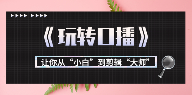 月营业额700万+大佬教您《玩转口播》让你从“小白”到剪辑“大师”-乌龙学社