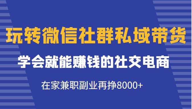 玩转微信社群私域带货，学会就能赚钱的社交电商，在家兼职副业再挣8000+-乌龙学社