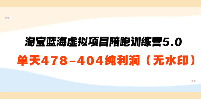 淘宝蓝海虚拟项目陪跑训练营5.0：单天478纯利润-乌龙学社