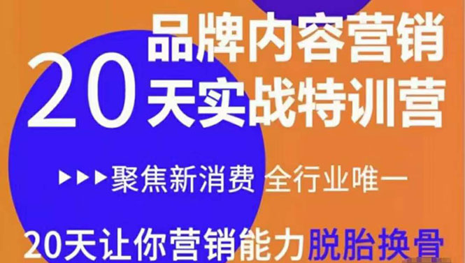 《内容营销实操特训营》20天让你营销能力脱胎换骨（价值3999）-乌龙学社