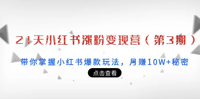 21天小红书涨粉变现营（第3期）：带你掌握小红书爆款玩法，月赚10W+秘密-乌龙学社