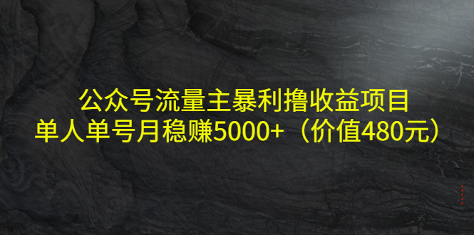 公众号流量主暴利撸收益项目，单人单号月稳赚5000+（价值480元）-乌龙学社