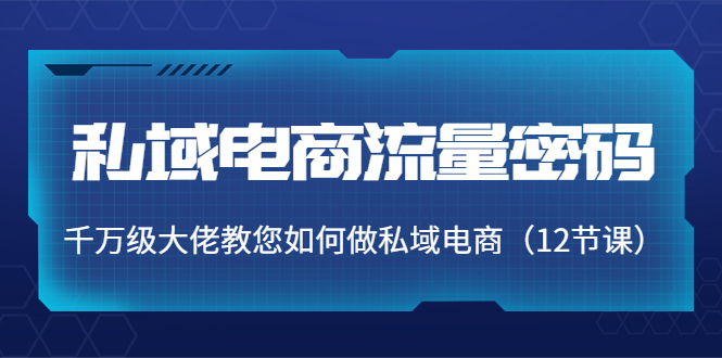私域电商流量密码：千万级大佬教您如何做私域电商（12节课）-乌龙学社