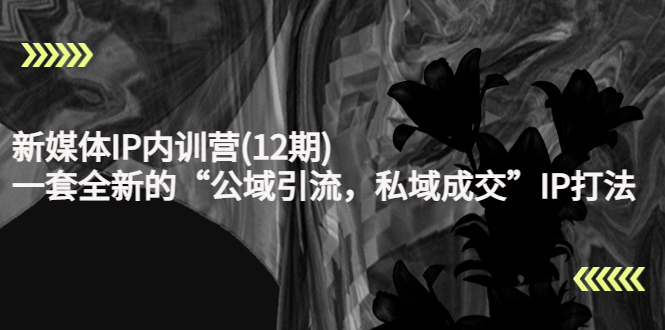 新媒体IP内训营(12期)，一套全新的“公域引流，私域成交”IP打法，直接带走-乌龙学社