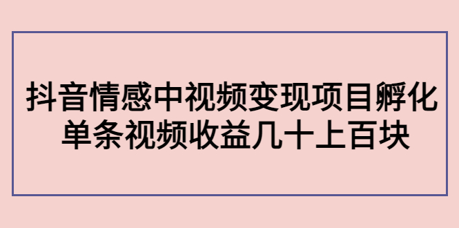 副业孵化营第5期：抖音情感中视频变现项目孵化 单条视频收益几十上百-乌龙学社