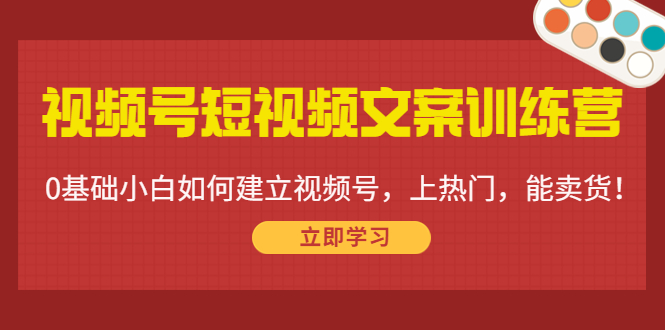 视频号短视频文案训练营：0基础小白如何建立视频号，上热门，能卖货！-乌龙学社