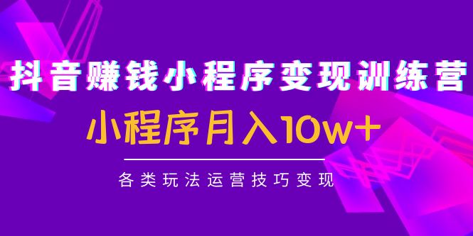 抖音赚钱小程序变现训练营：小程序月入10w+各类玩法运营技巧变现-乌龙学社