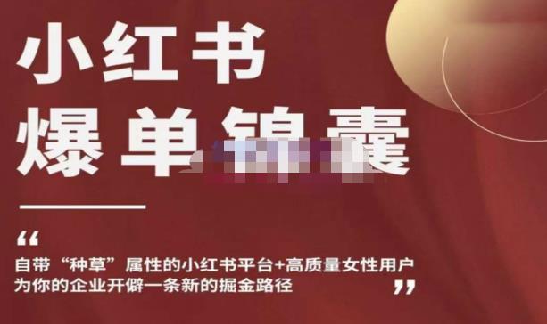 小红书爆单锦囊，自带种草属性+高质量女性用户，为你的企业开辟一条新的掘金路径-乌龙学社