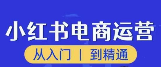 顽石小红书电商高阶运营课程，从入门到精通，玩法流程持续更新-乌龙学社