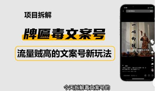 2023抖音快手毒文案新玩法，牌匾文案号，起号快易变现-乌龙学社