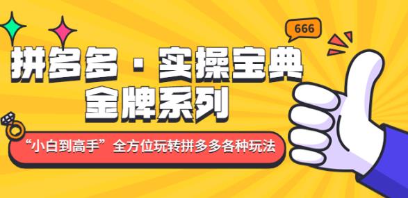 拼多多·实操宝典：金牌系列“小白到高手”带你全方位玩转拼多多各种玩法-乌龙学社
