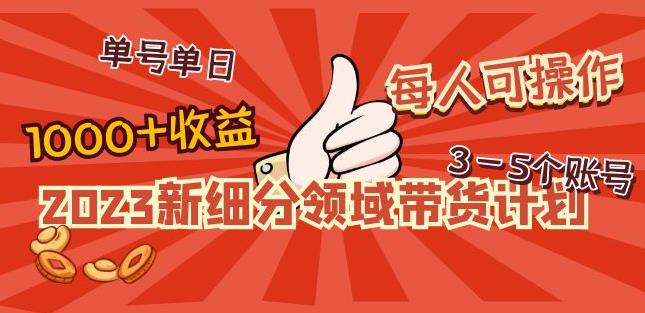 2023新细分领域带货计划：单号单日1000+收益不难，每人可操作3-5个账号-乌龙学社