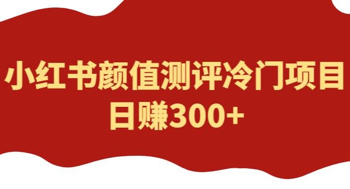 外面1980的项目，小红书颜值测评冷门项目，日赚300+【揭秘】-乌龙学社