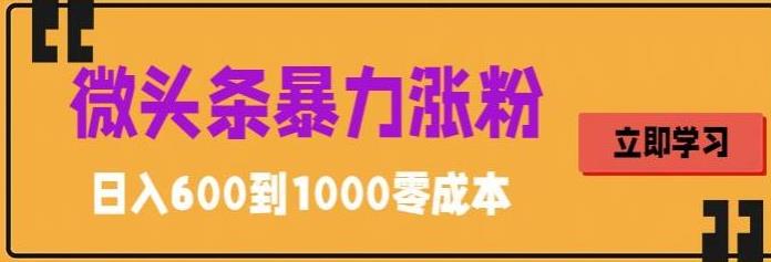 微头条暴力涨粉技巧搬运文案就能涨几万粉丝，简单0成本，日赚600【揭秘】-乌龙学社
