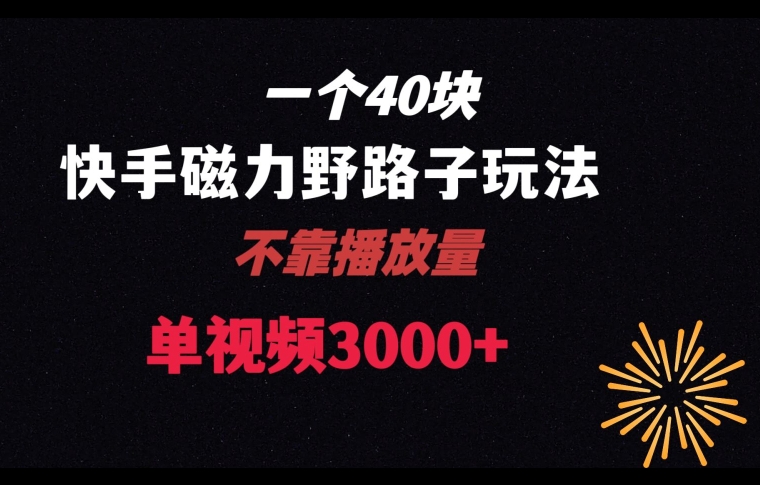 一个40块，快手联合美团磁力新玩法，无视机制野路子玩法，单视频收益4位数【揭秘】-乌龙学社