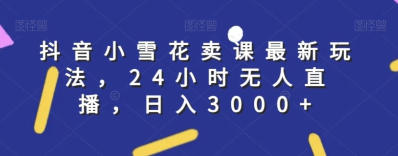 抖音小雪花卖课最新玩法，24小时无人直播，日入3000+【揭秘】-乌龙学社