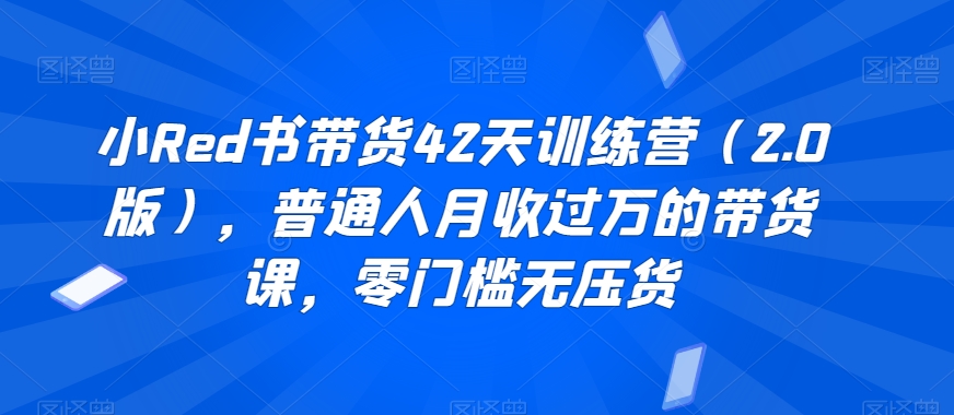 小Red书带货42天训练营（2.0版），普通人月收过万的带货课，零门槛无压货-乌龙学社