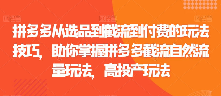 拼多多从选品到截流到付费的玩法技巧，助你掌握拼多多截流自然流量玩法，高投产玩法-乌龙学社