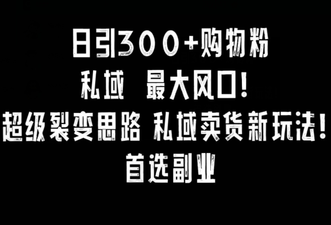日引300+购物粉，超级裂变思路，私域卖货新玩法，小红书首选副业【揭秘】-乌龙学社