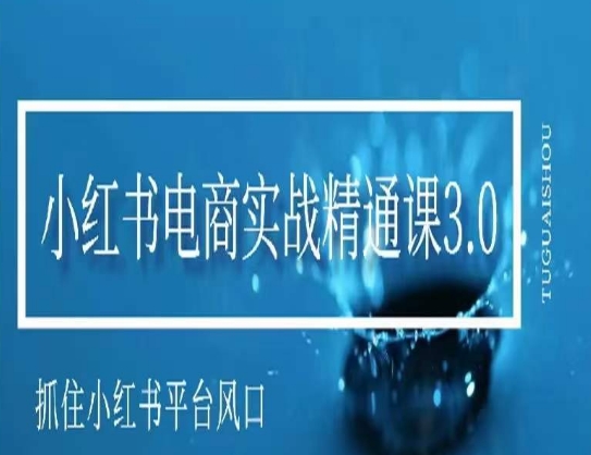 小红书电商实战精通课3.0，抓住小红书平台的风口，不错过有一个赚钱的机会-乌龙学社