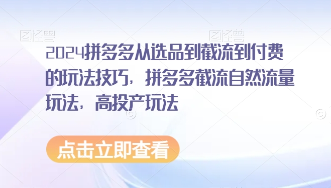 2024拼多多从选品到截流到付费的玩法技巧，拼多多截流自然流量玩法，高投产玩法-乌龙学社
