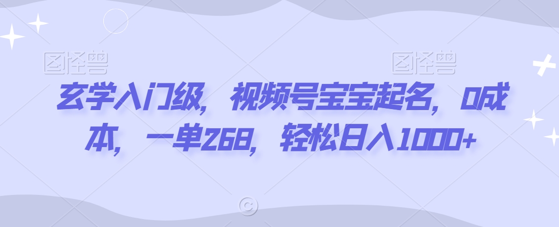 玄学入门级，视频号宝宝起名，0成本，一单268，轻松日入1000+【揭秘】-乌龙学社