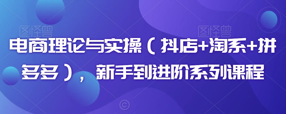 电商理论与实操（抖店+淘系+拼多多），新手到进阶系列课程-乌龙学社