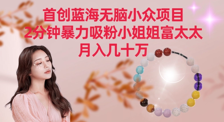 首创蓝海无脑小众项目，2分钟暴力吸粉小姐姐富太太，月入几十万【揭秘】-乌龙学社
