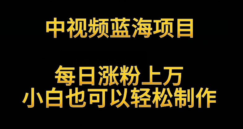 中视频蓝海项目，解读英雄人物生平，每日涨粉上万，小白也可以轻松制作，月入过万不是梦【揭秘】-乌龙学社