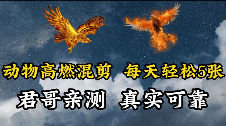 动物超燃混剪，每天轻松5张，剪辑简单大家爱看【揭秘】-乌龙学社